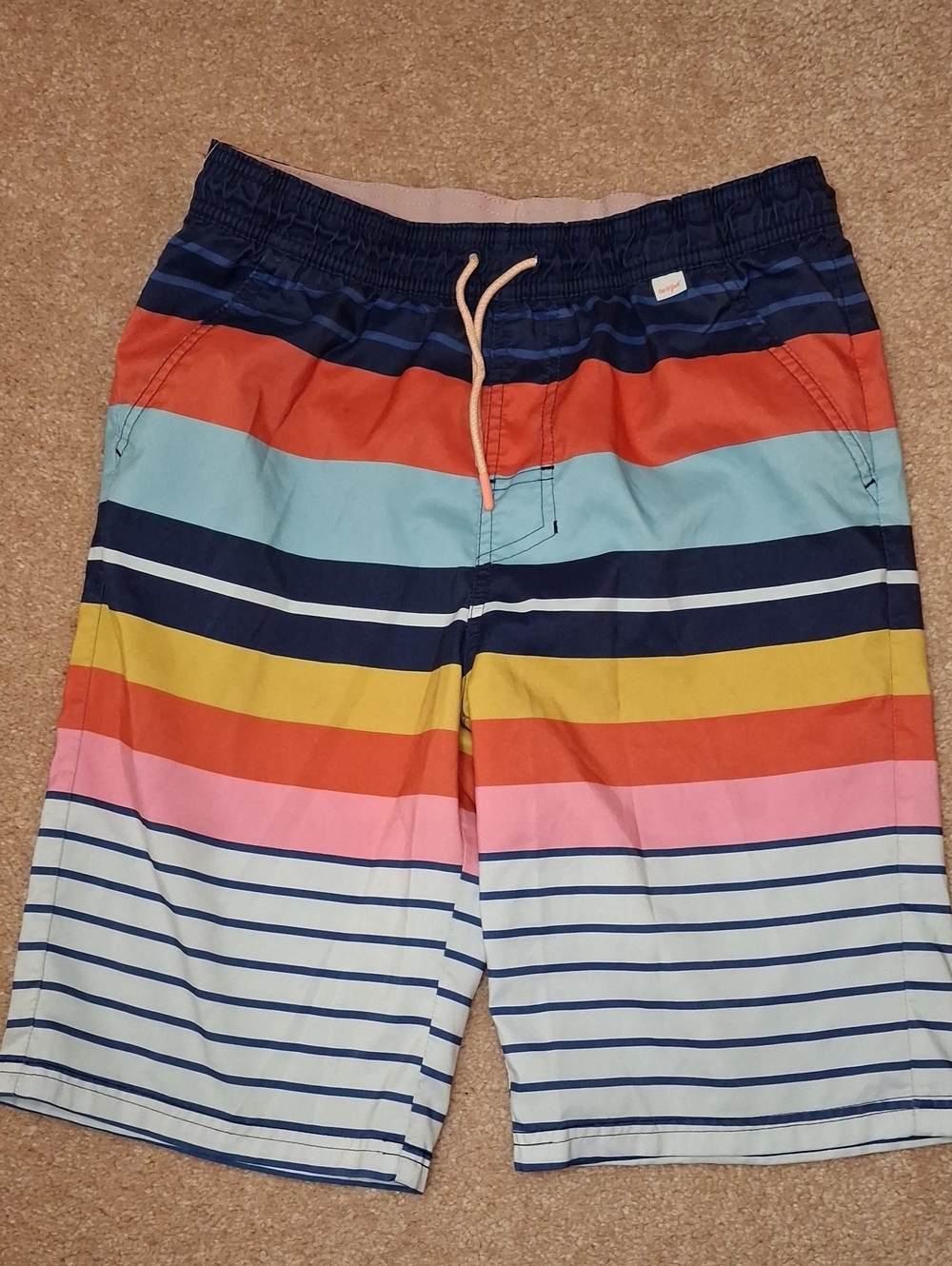 Boy's Multicolor Striped Swim/Beach Shorts